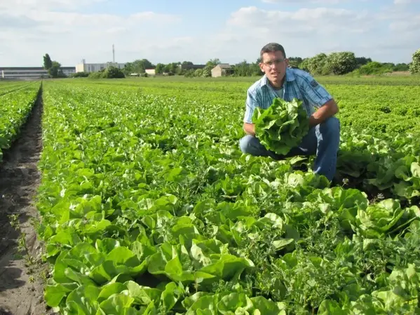 Bio Légumes Français