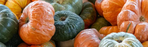 Symphonie de courges, sachez les reconnaître! Symphonie de courges, sachez les reconnaître!